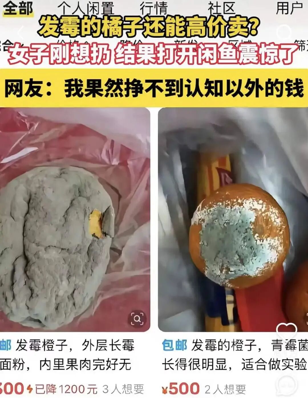 刷了 2 小时闲鱼，快被这群神人笑抽了
