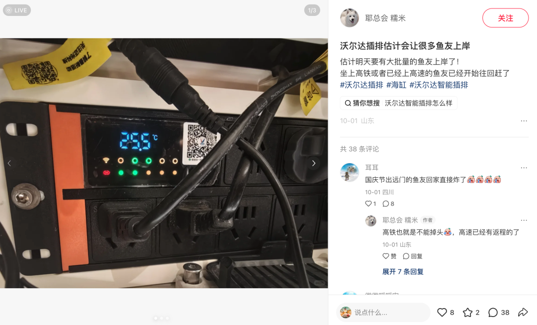 智能插排被黑，鱼没了，人麻了
